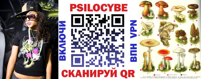 Галлюциногенные грибы Psilocybine cubensis  наркота  Северск 